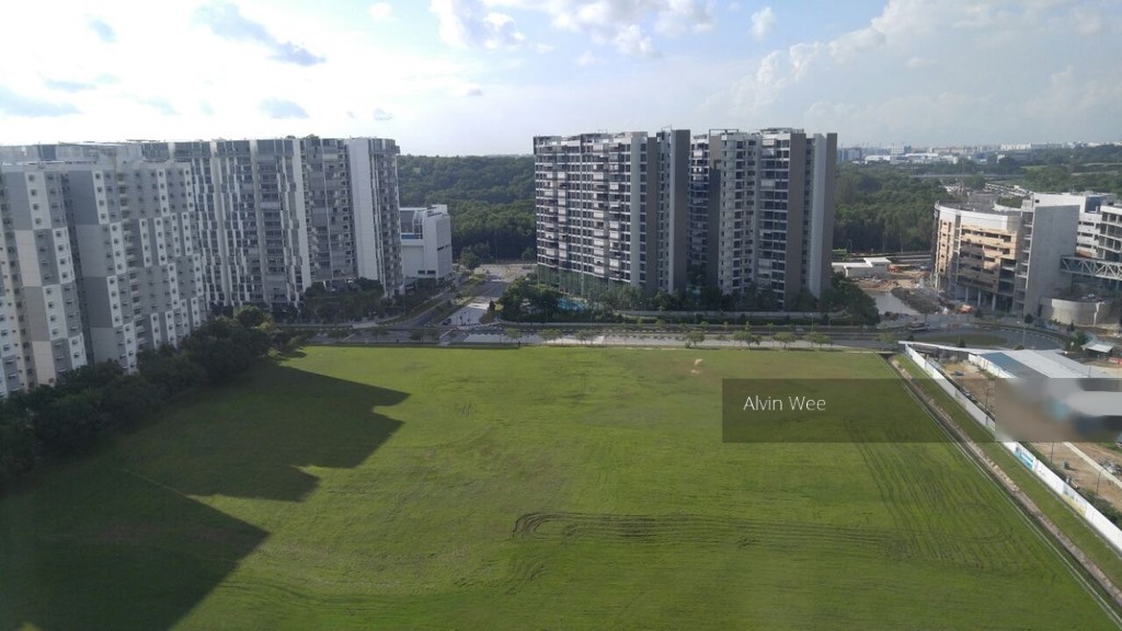 Edgedale Plains thumbnail photo